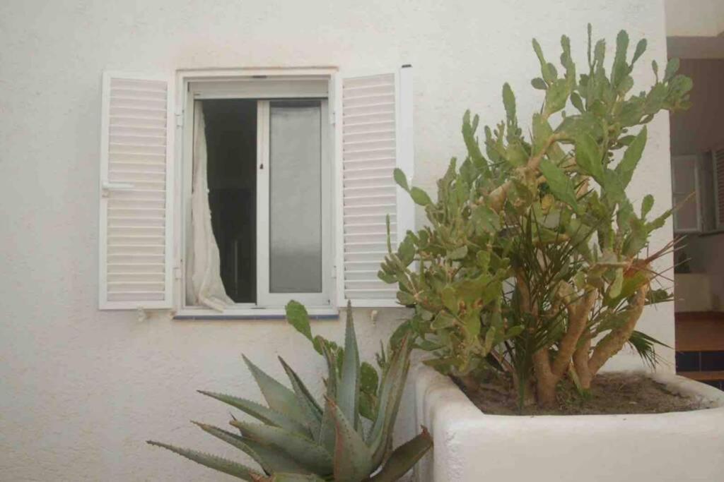 Apartamento A 2 Minutos Andando A La Playa. Ла-Ислета-дель-Моро Экстерьер фото